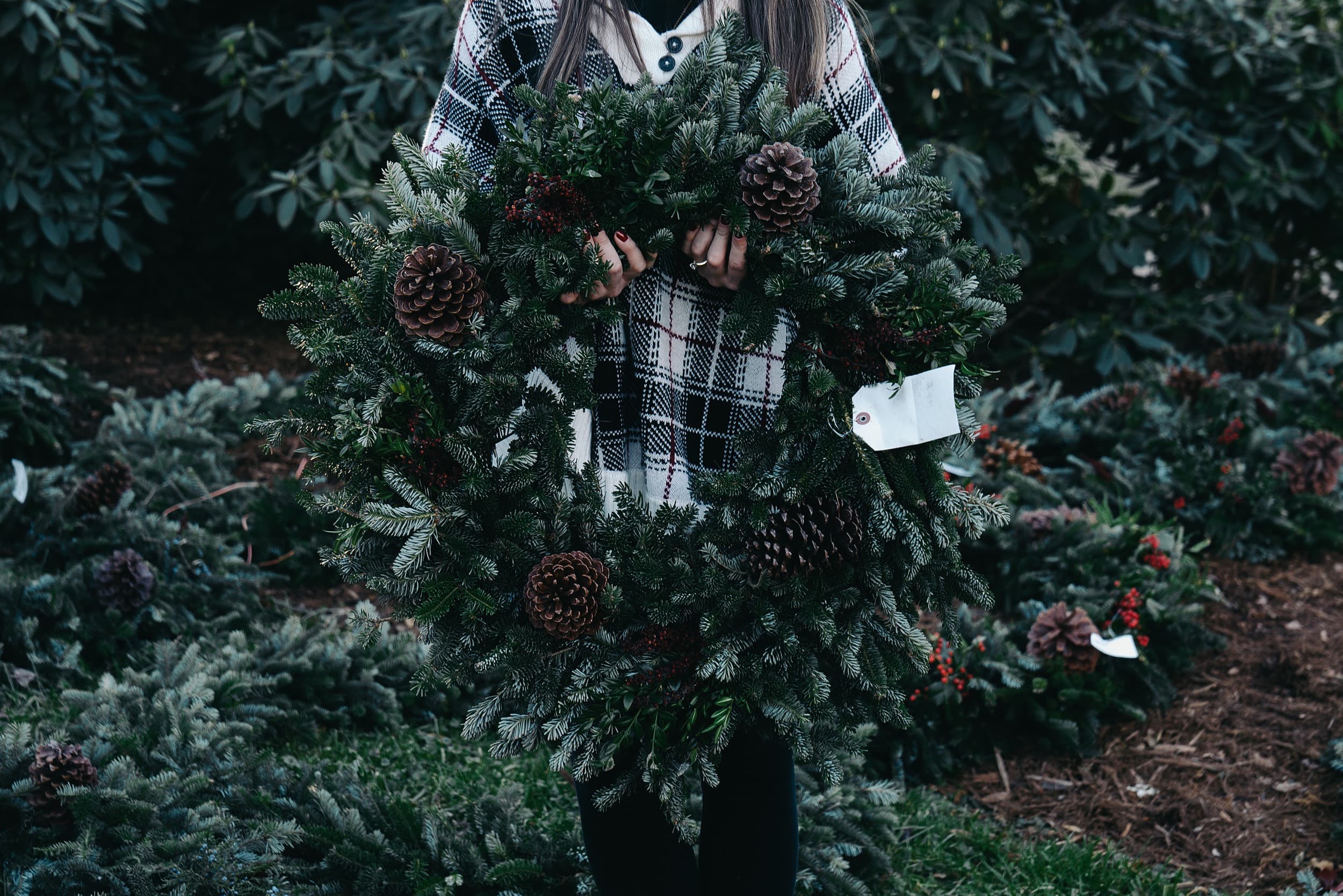 Boyd Mountain Christmas Tree Farm 16