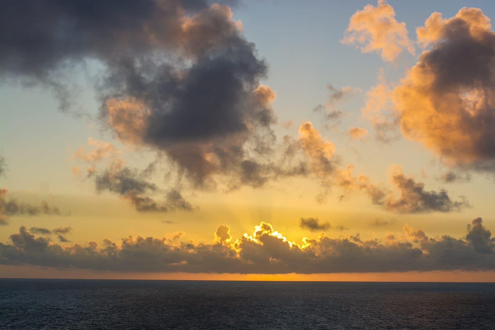 Cruise 1