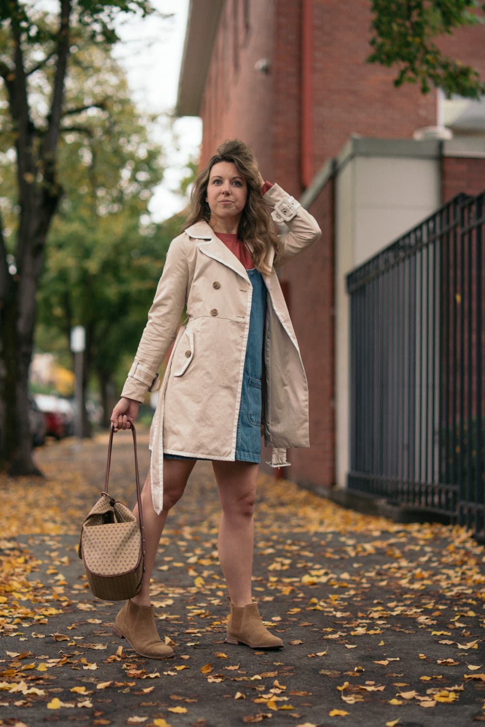 Fall Foliage 19