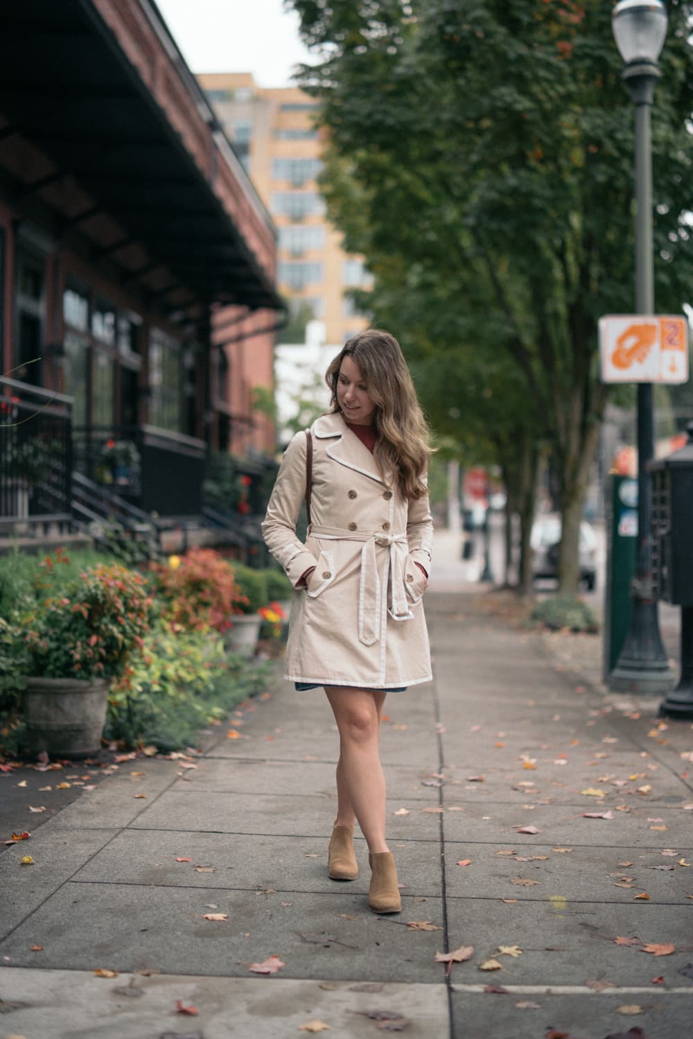 Fall Foliage 2