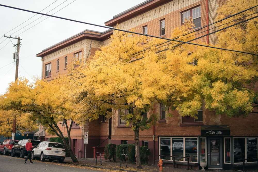 Fall Foliage 28