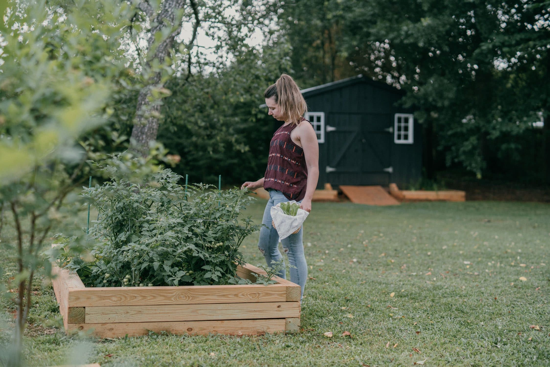 Gardening 8