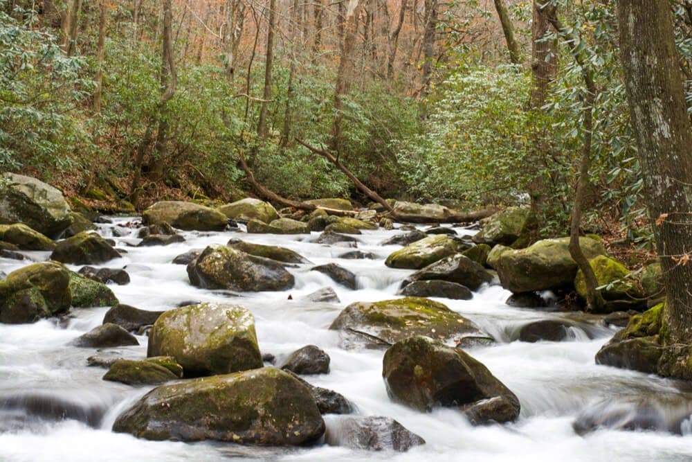 Jones Gap 3