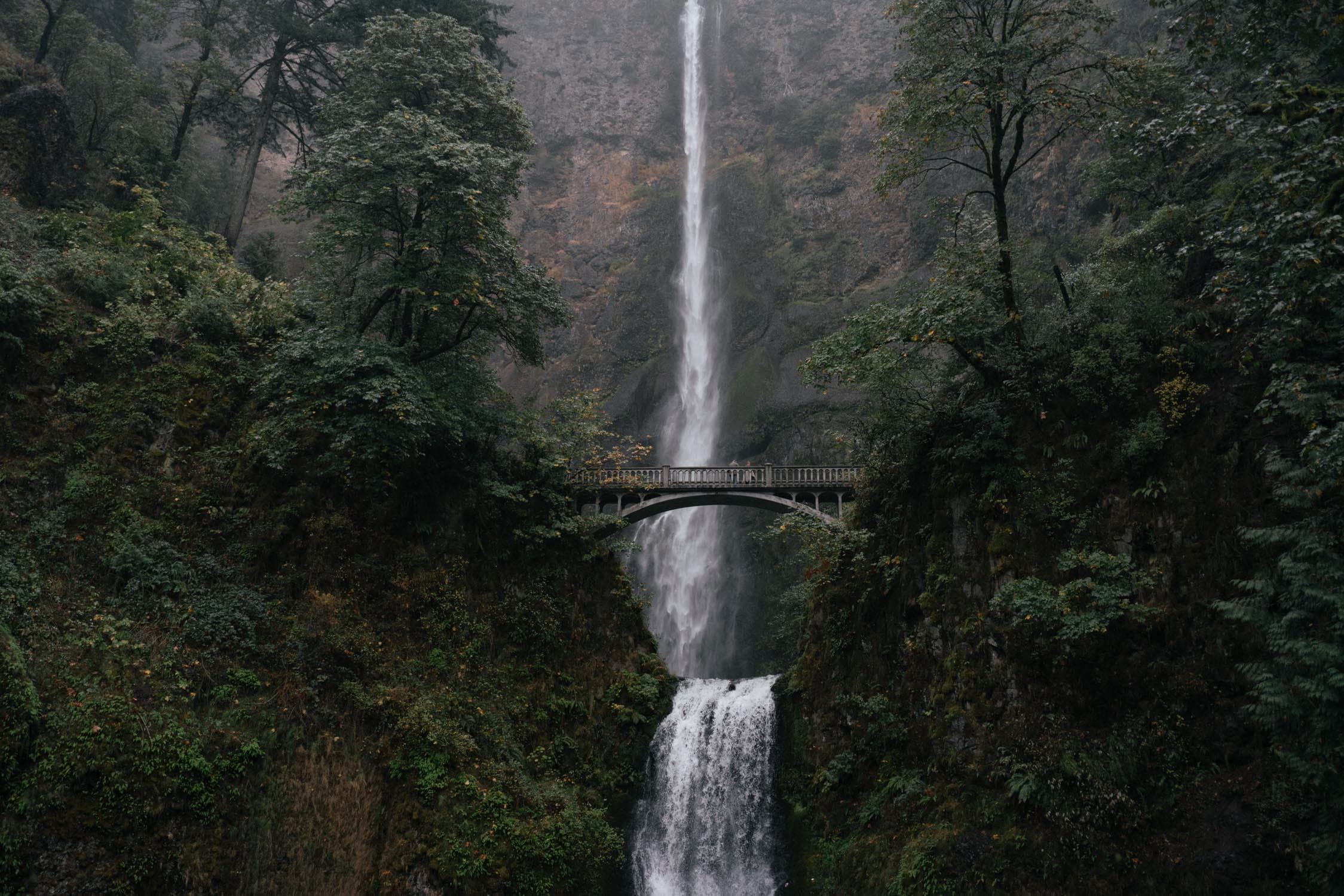 Orregon Coast 1 2