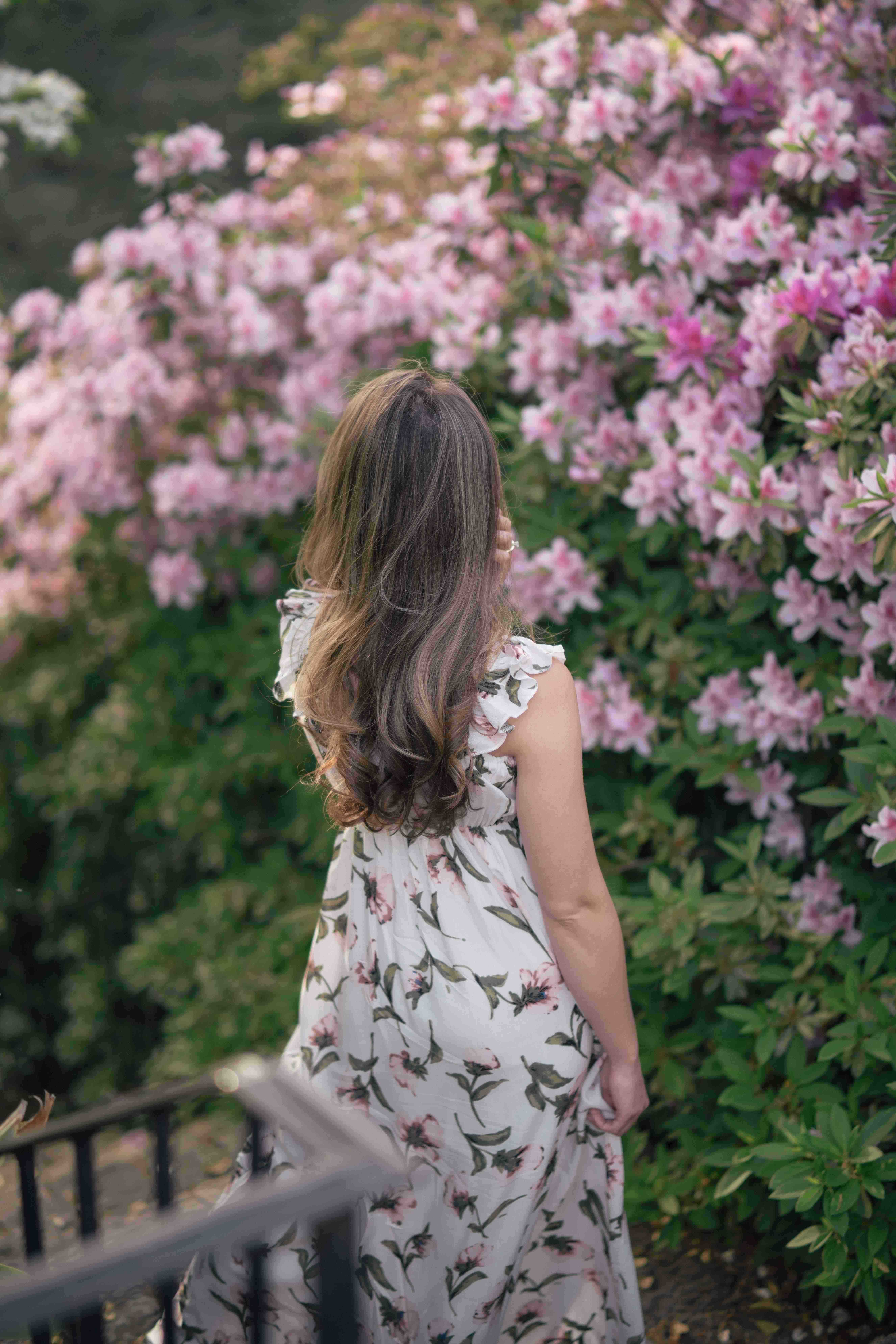 Secret Garden 2