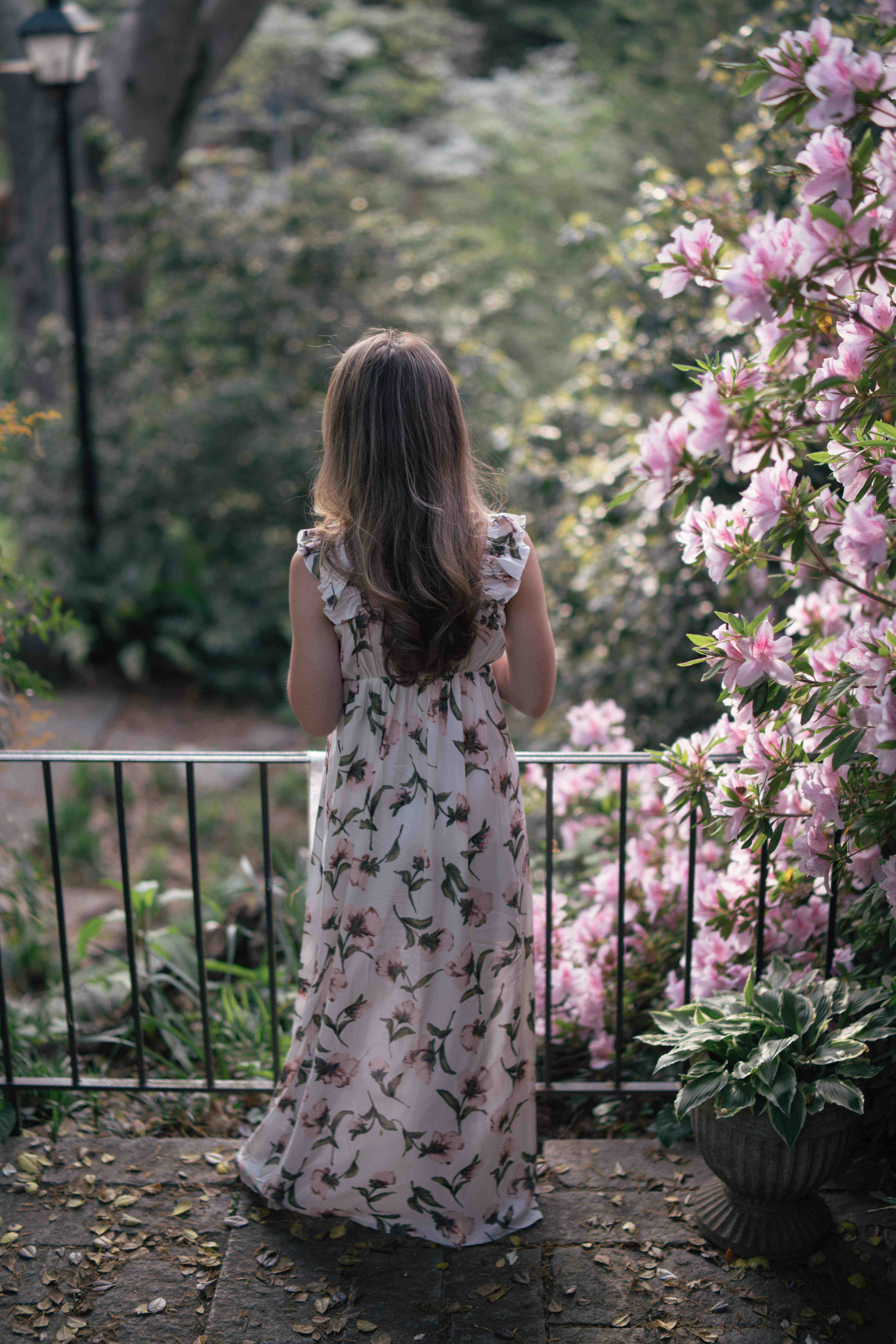 Secret Garden 3
