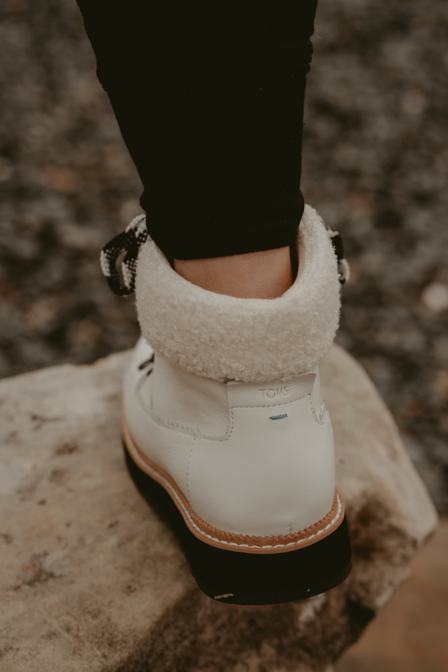 Toms Fall Winter 20