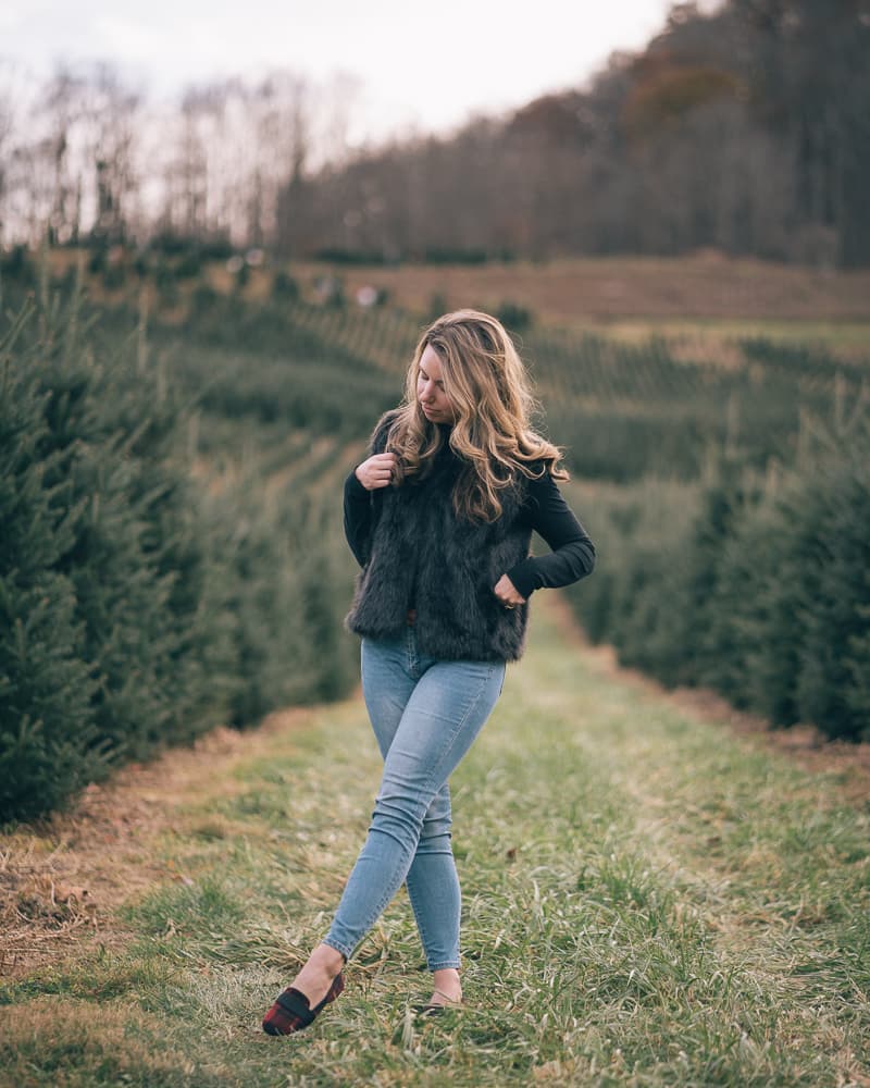 Tree Farm 1