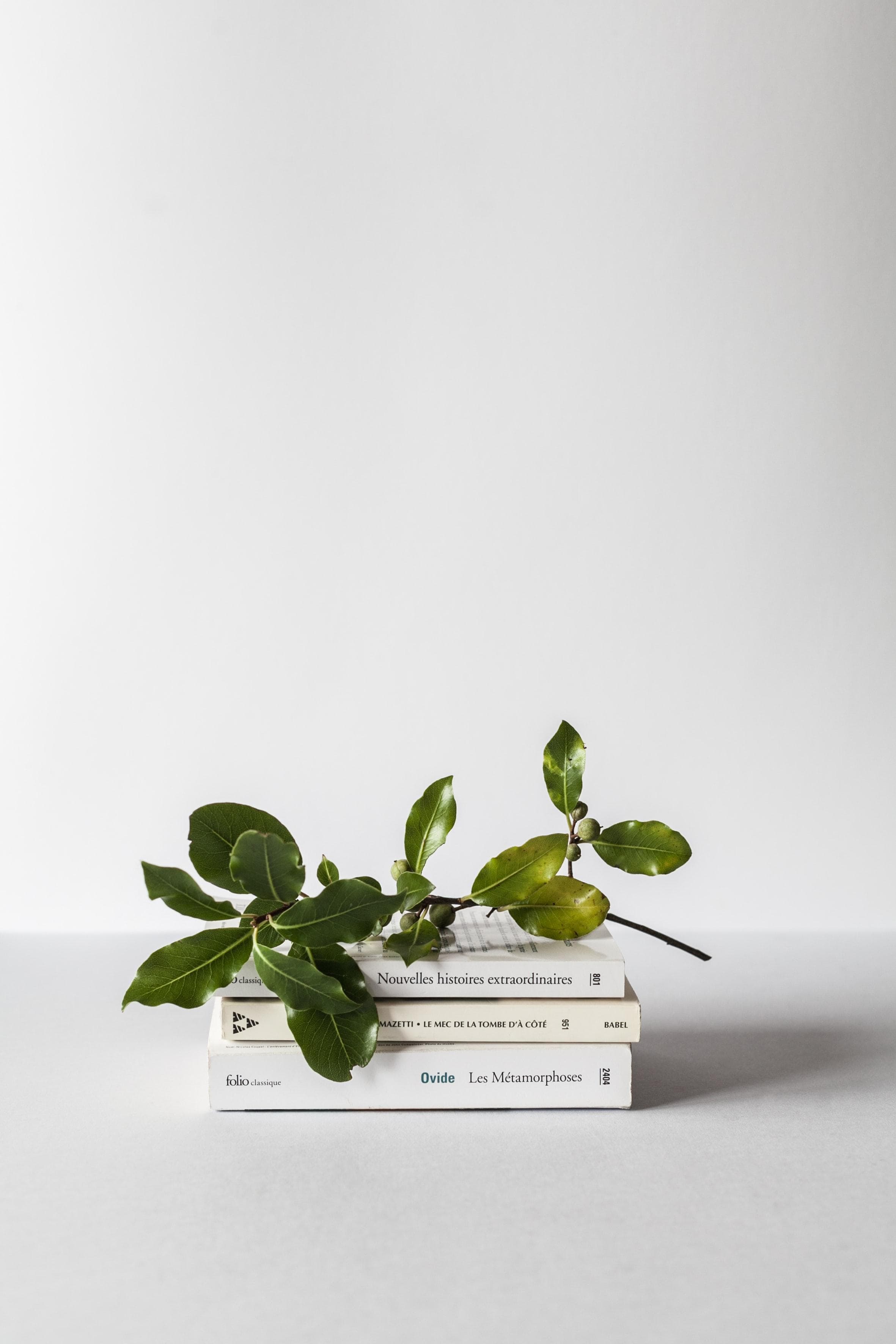 Alex loup 2z Dw14y C Yqk unsplash