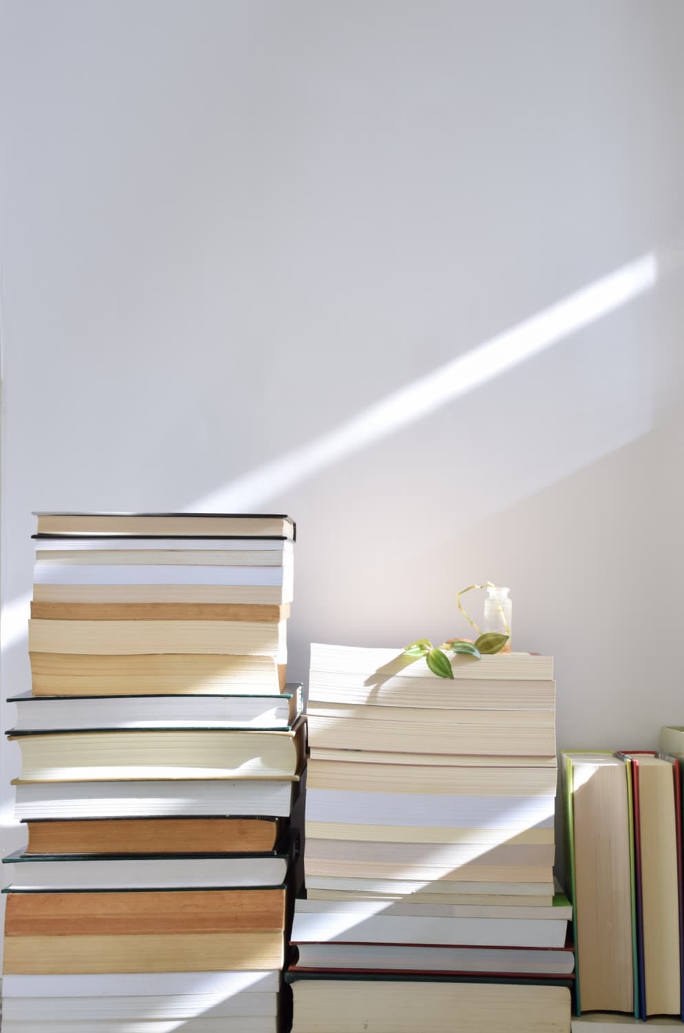 Asal lotfi 8e P Zbdxnpi0 unsplash