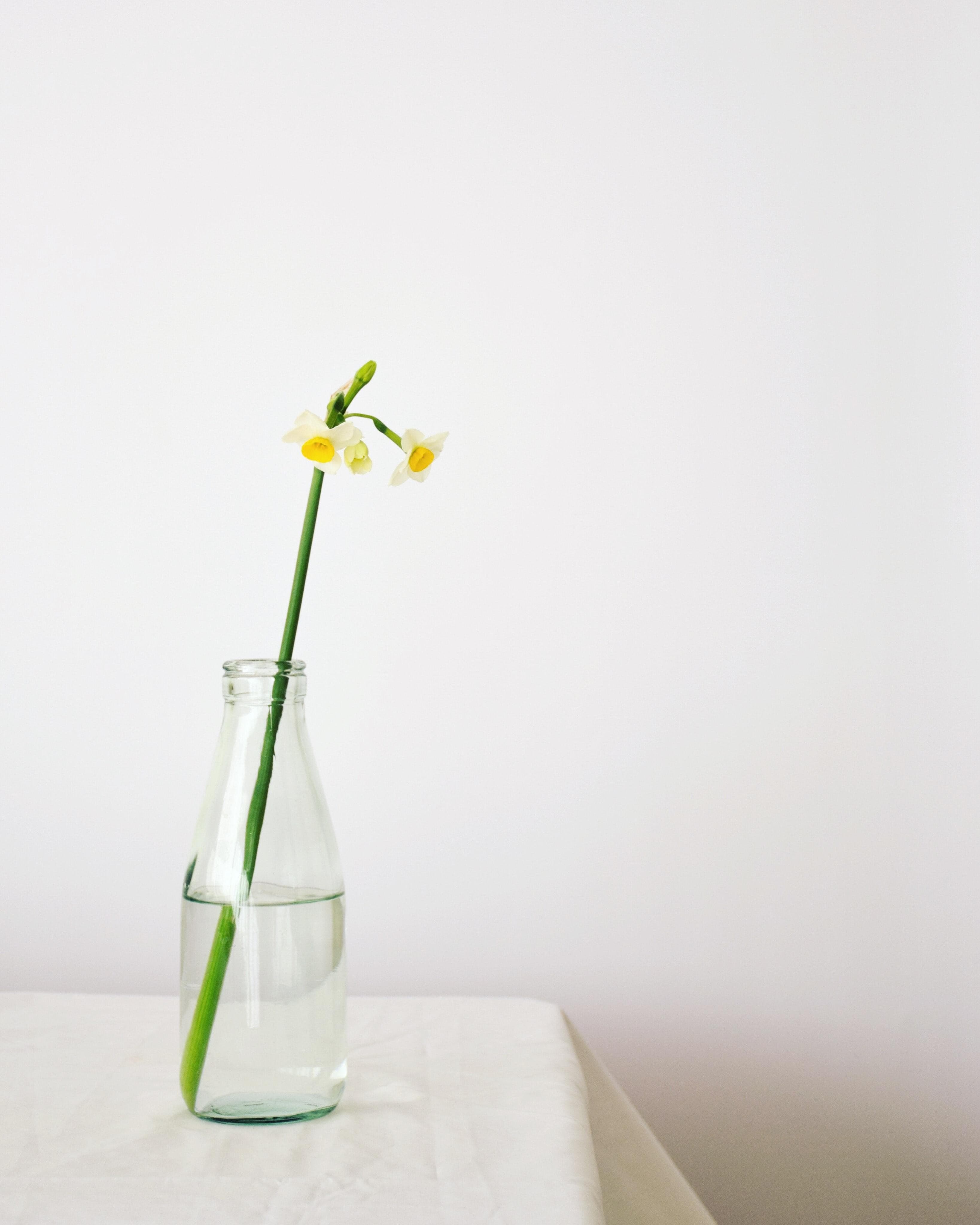 Asal lotfi r CT Boxya AAI unsplash