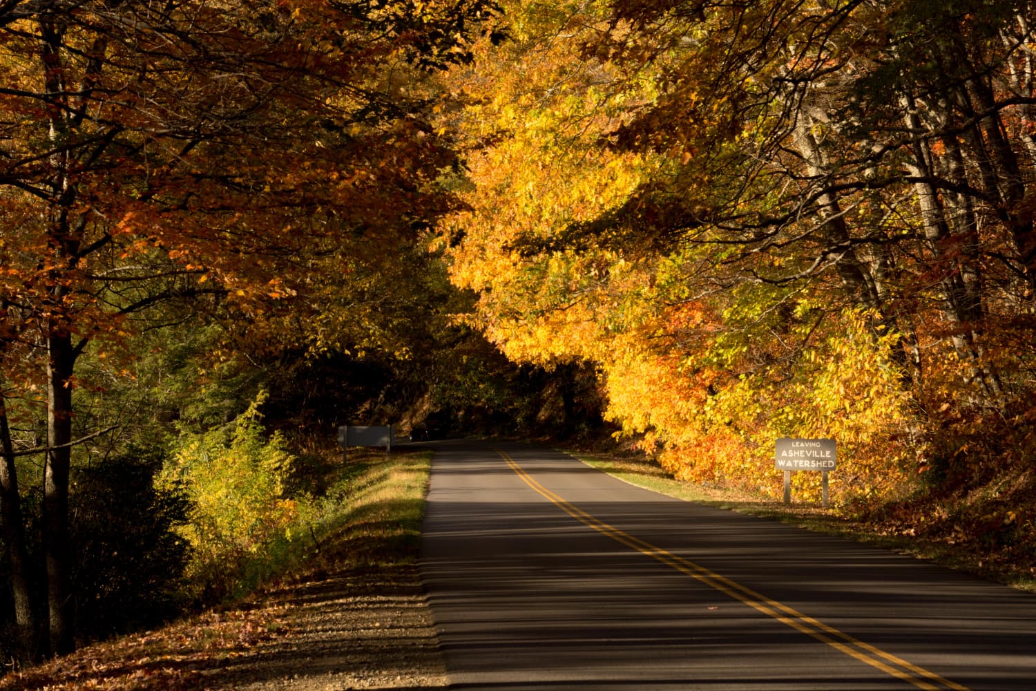 Fall Foliage in Greenville, SC Some Pretty Thing