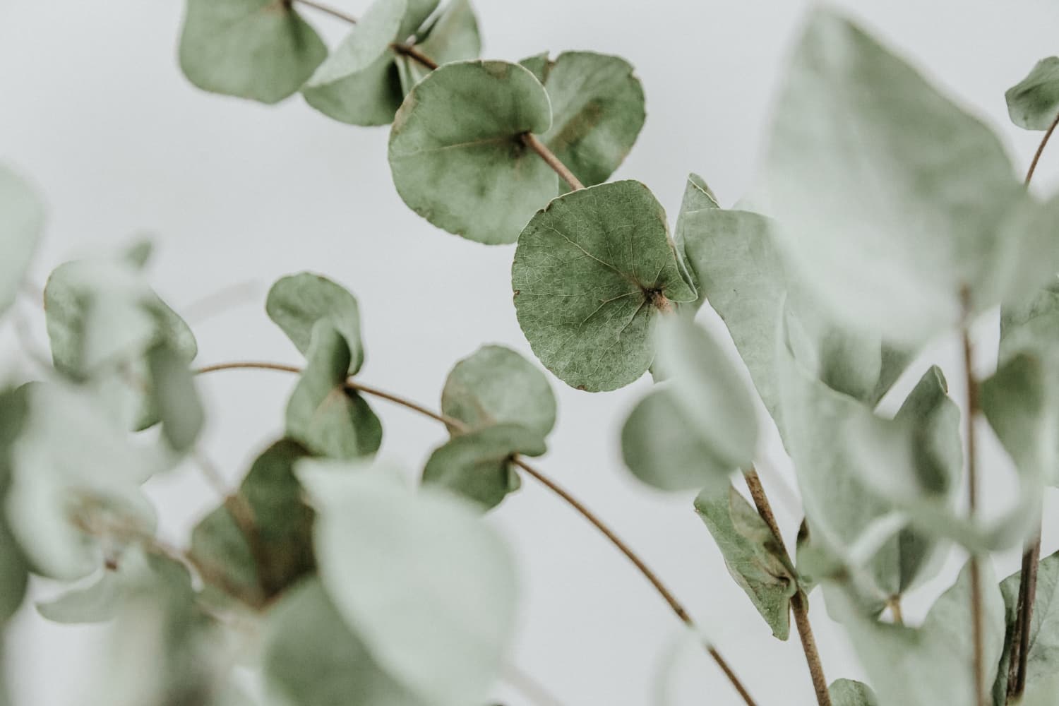 Diana polekhina Hzz7 A Ey Lh Zk unsplash