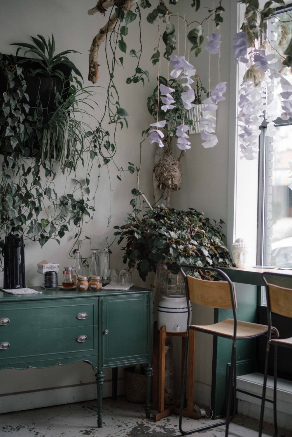 Flora 12