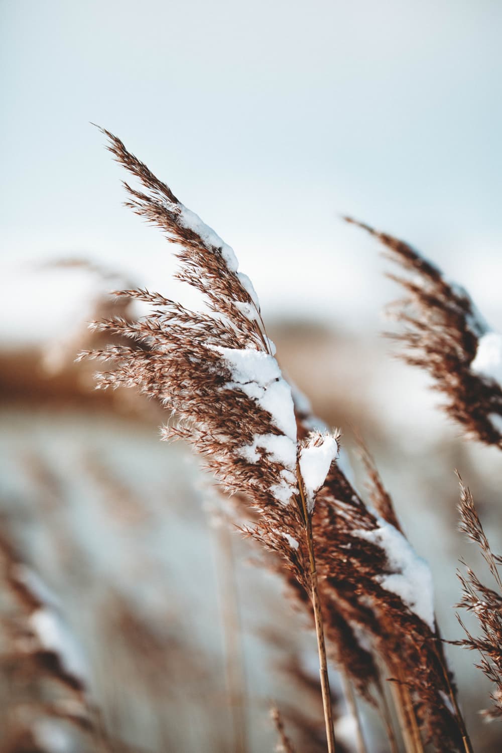 Joshua fuller J Gf0 KB Pj3x4 unsplash