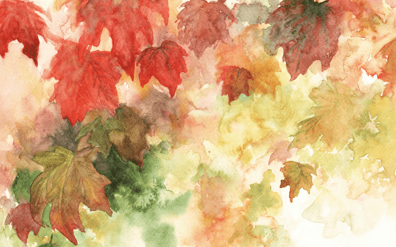 Small fall min