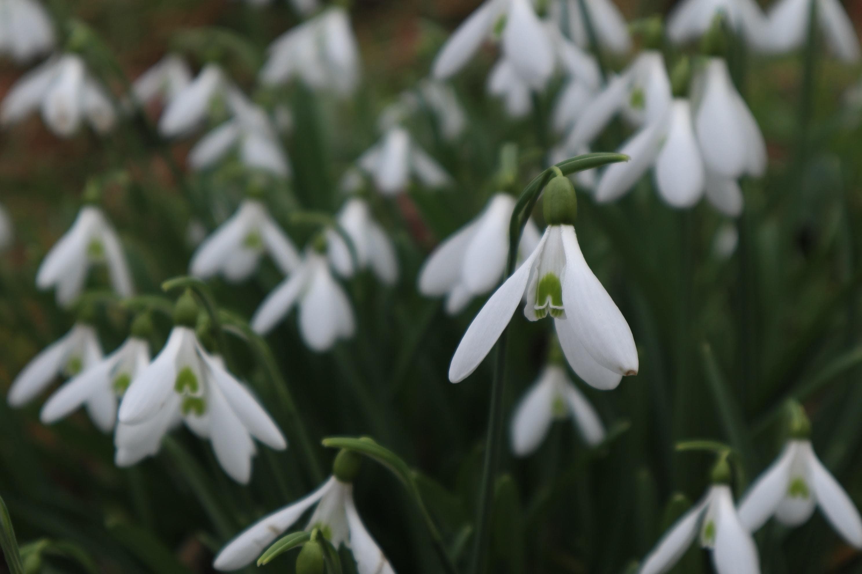Wendy morris k Nr Zrwq7 V Qk unsplash