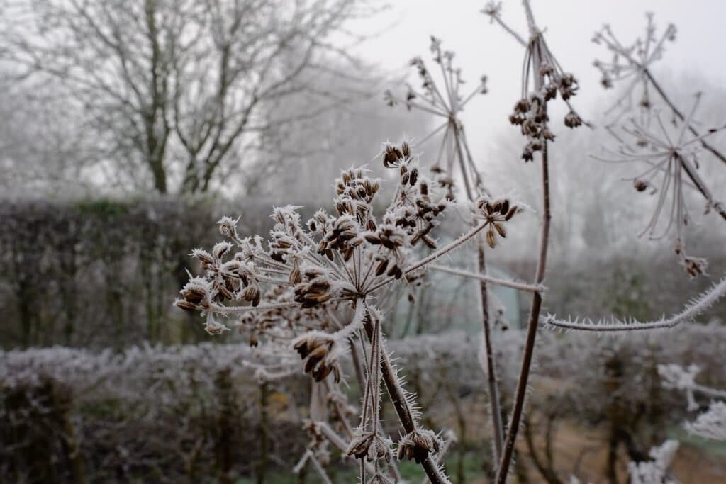 Winter5