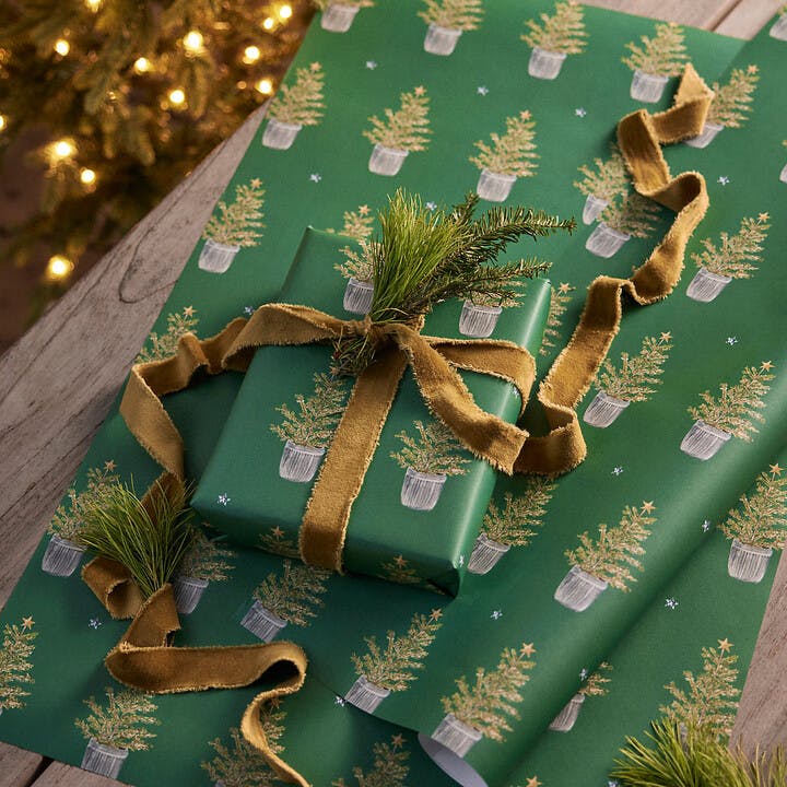 terrain Festive Evergreens Wrapping Paper, Set of 3