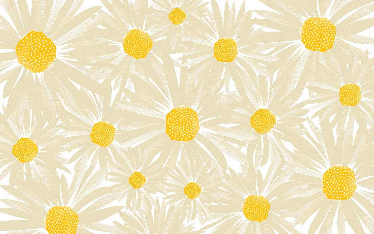 CWILP daisies 01