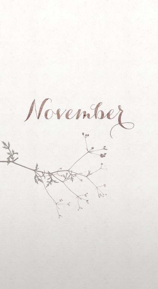 November 2020 Calendar House Desk