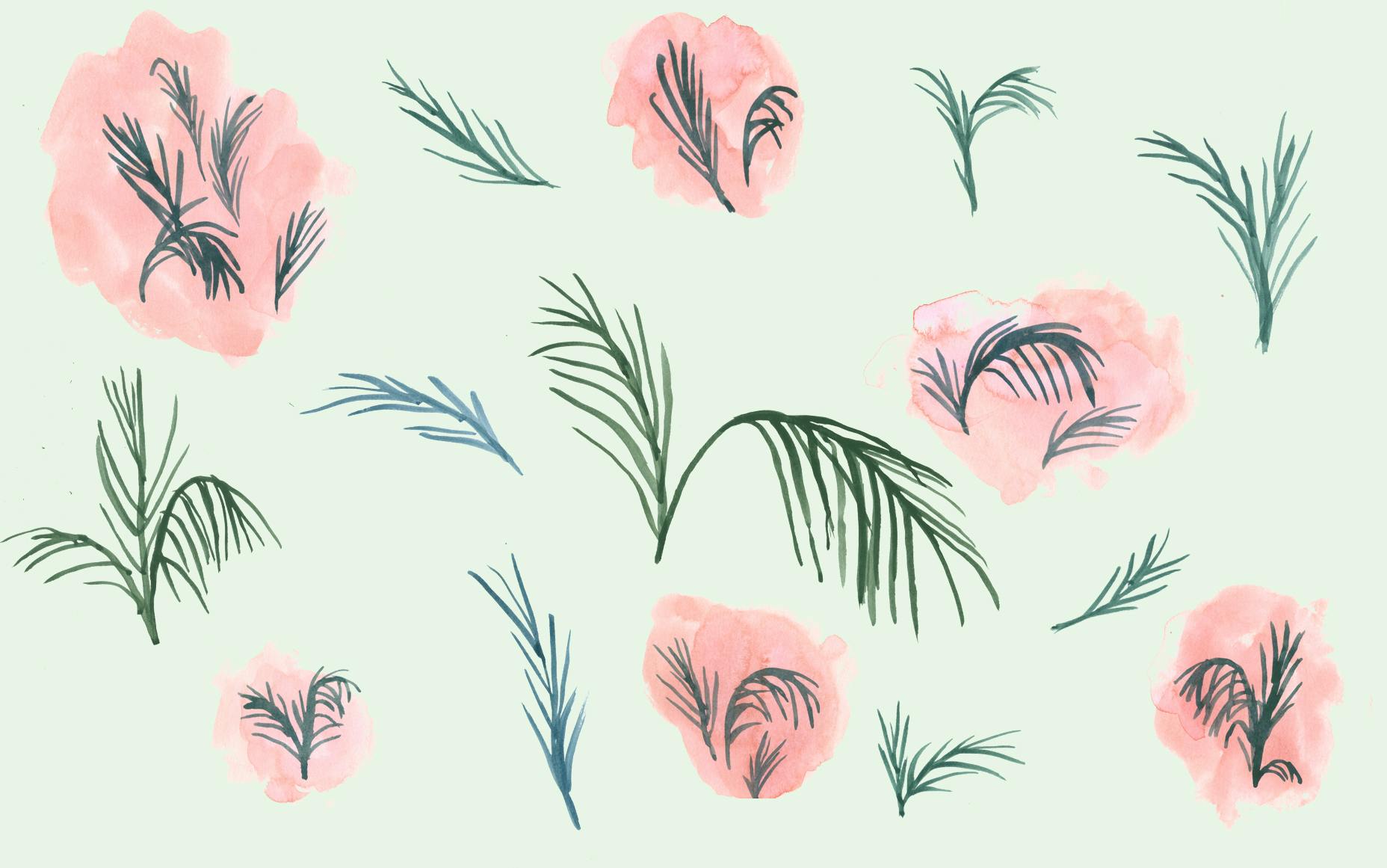 Ferns wallpaper